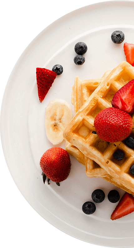 Food Lover | Restaurant | Contact Us For Best Breakfast